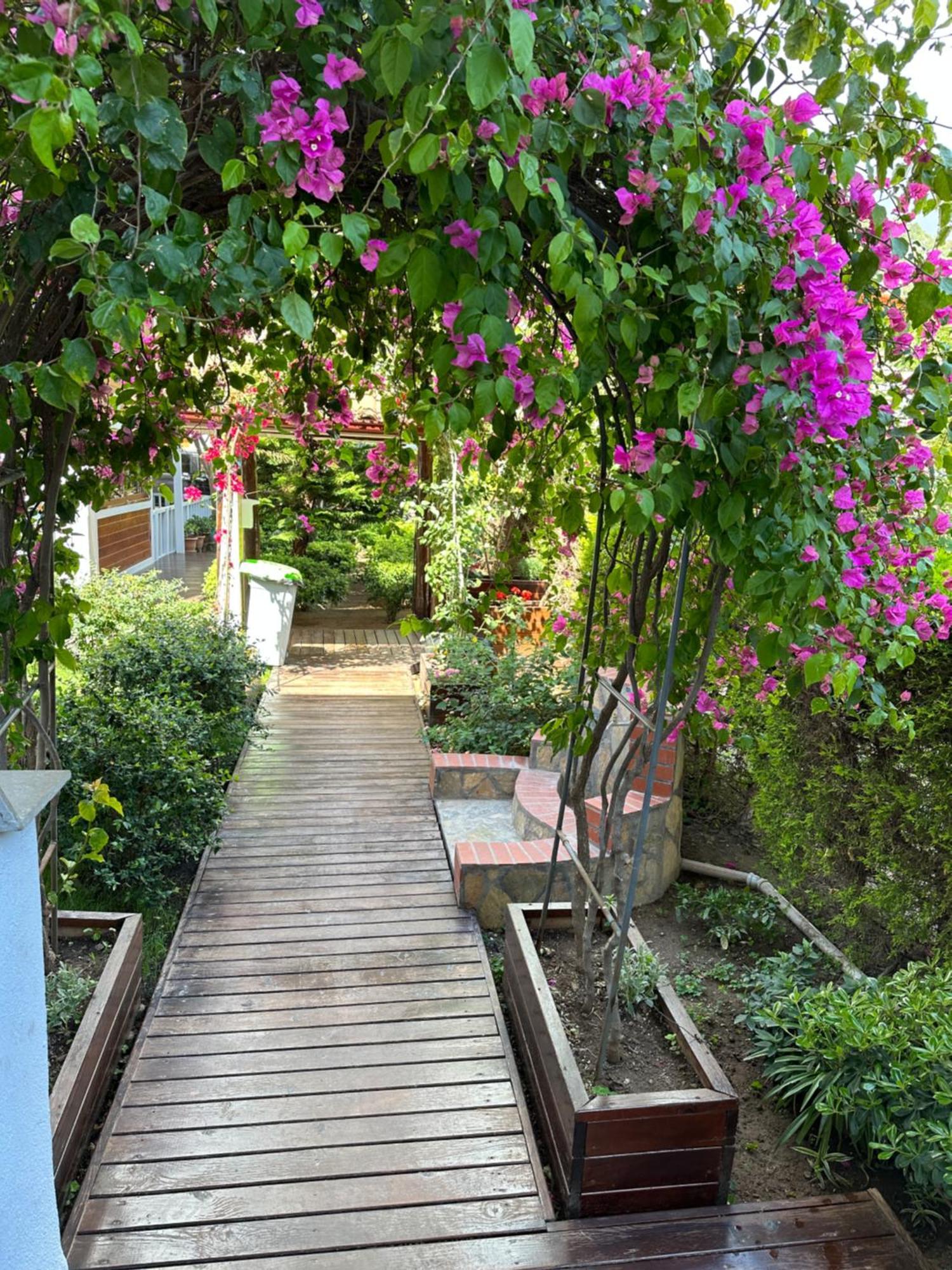 Palm Konak Hotel Чирали Екстериор снимка